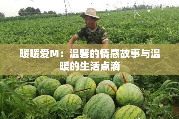 暖暖爱M：温馨的情感故事与温暖的生活点滴