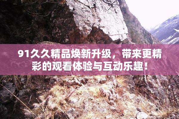 91久久精品焕新升级，带来更精彩的观看体验与互动乐趣！