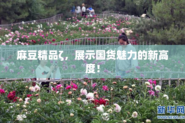 麻豆精品ζ，展示国货魅力的新高度！