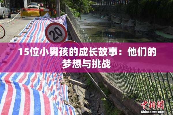 15位小男孩的成长故事：他们的梦想与挑战