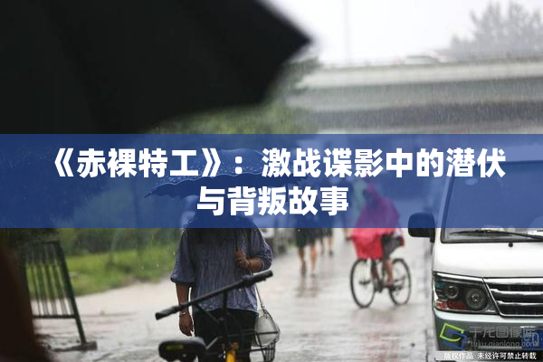 《赤裸特工》：激战谍影中的潜伏与背叛故事