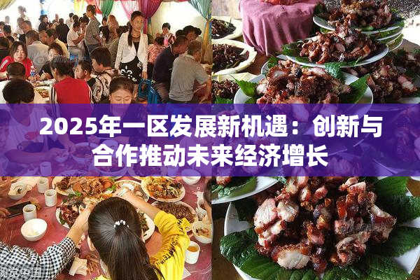 2025年一区发展新机遇：创新与合作推动未来经济增长