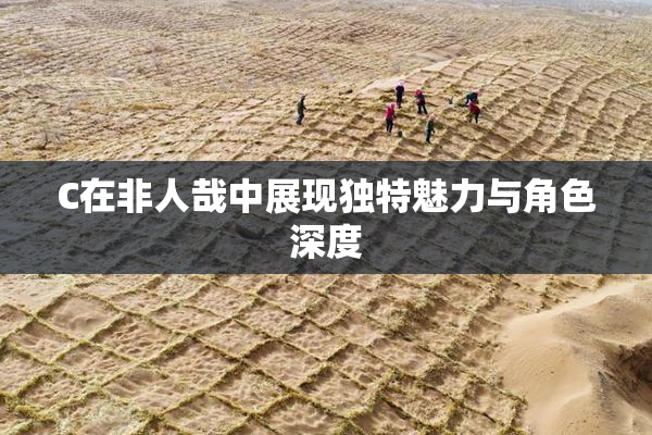 C在非人哉中展现独特魅力与角色深度