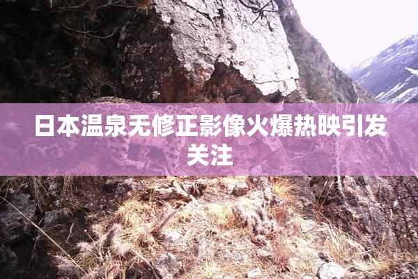 日本温泉无修正影像火爆热映引发关注