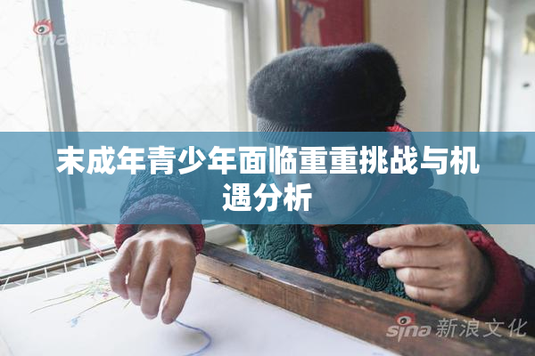 末成年青少年面临重重挑战与机遇分析