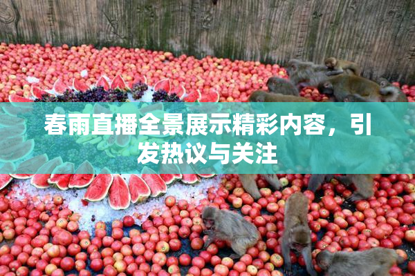 春雨直播全景展示精彩内容，引发热议与关注