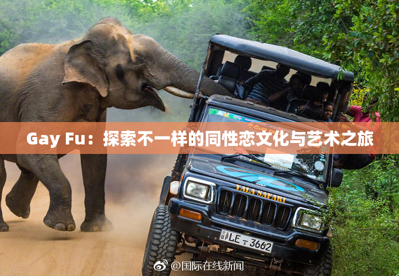 Gay Fu：探索不一样的同性恋文化与艺术之旅