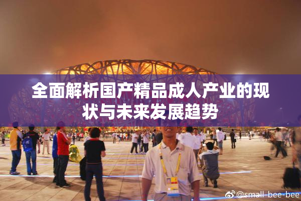 全面解析国产精品成人产业的现状与未来发展趋势