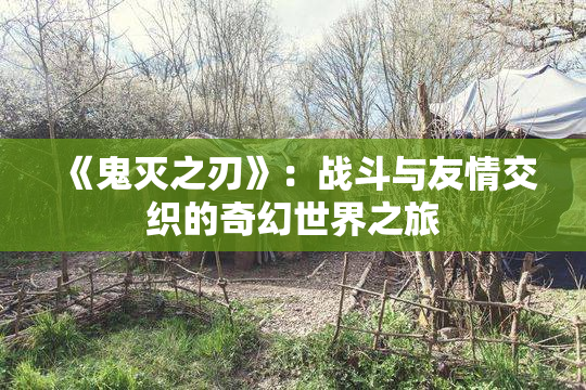 《鬼灭之刃》：战斗与友情交织的奇幻世界之旅