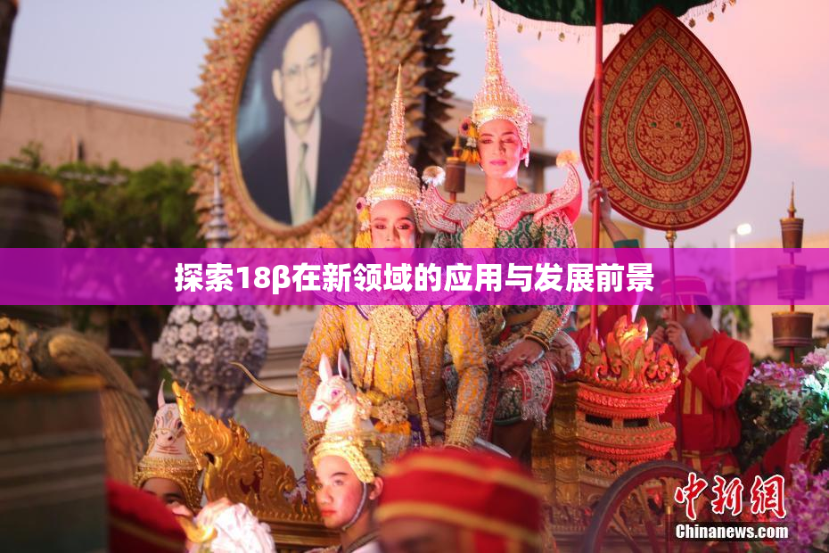 探索18β在新领域的应用与发展前景