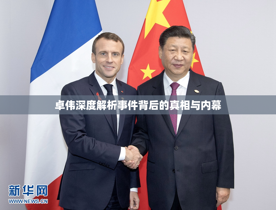 卓伟深度解析事件背后的真相与内幕