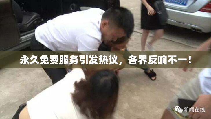 永久免费服务引发热议，各界反响不一！