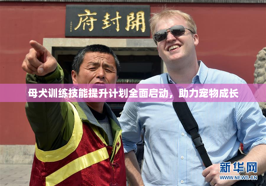 母犬训练技能提升计划全面启动，助力宠物成长