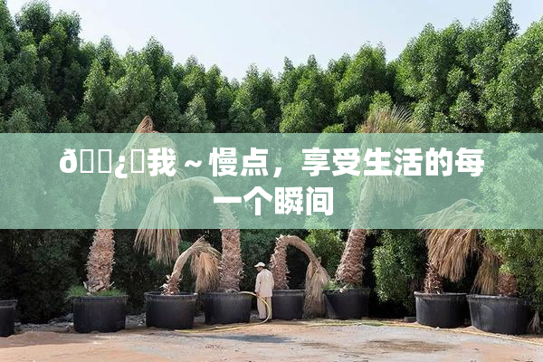 🌿‌我～慢点，享受生活的每一个瞬间