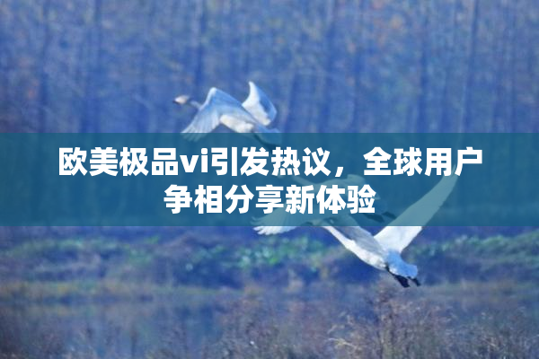 欧美极品vi引发热议，全球用户争相分享新体验