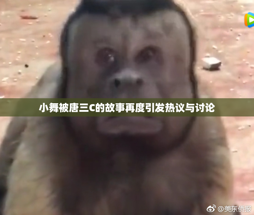 小舞被唐三C的故事再度引发热议与讨论