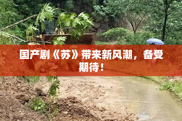 国产剧《苏》带来新风潮，备受期待！