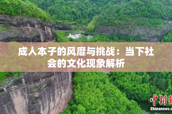 成人本子的风靡与挑战：当下社会的文化现象解析