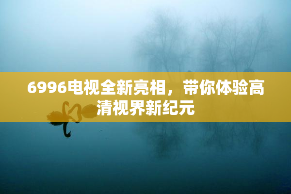 6996电视全新亮相，带你体验高清视界新纪元