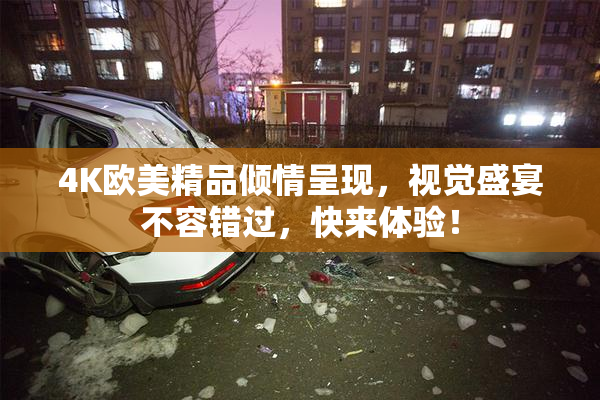 4K欧美精品倾情呈现，视觉盛宴不容错过，快来体验！