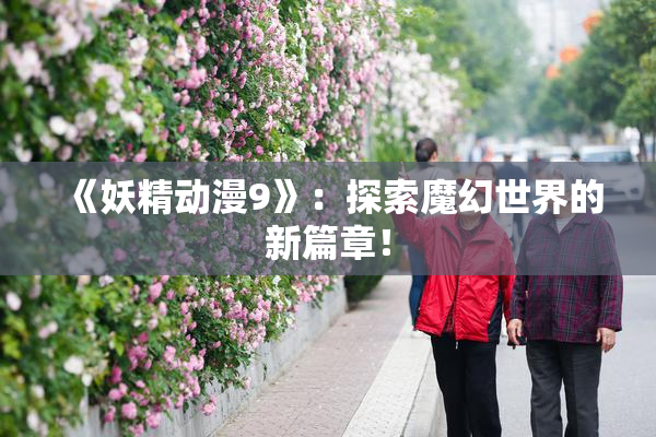《妖精动漫9》：探索魔幻世界的新篇章！