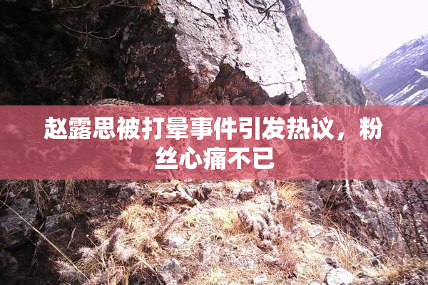 赵露思被打晕事件引发热议，粉丝心痛不已