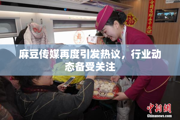 麻豆传媒再度引发热议，行业动态备受关注