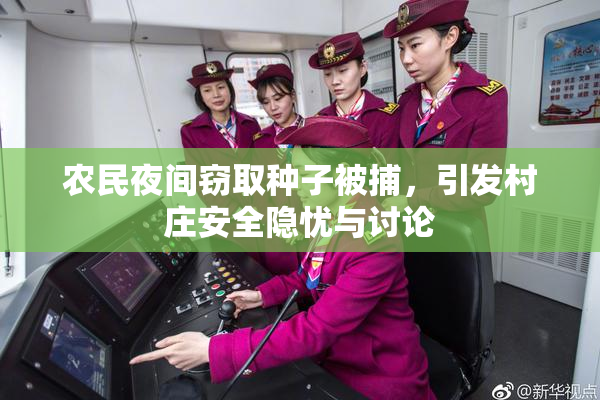 农民夜间窃取种子被捕，引发村庄安全隐忧与讨论