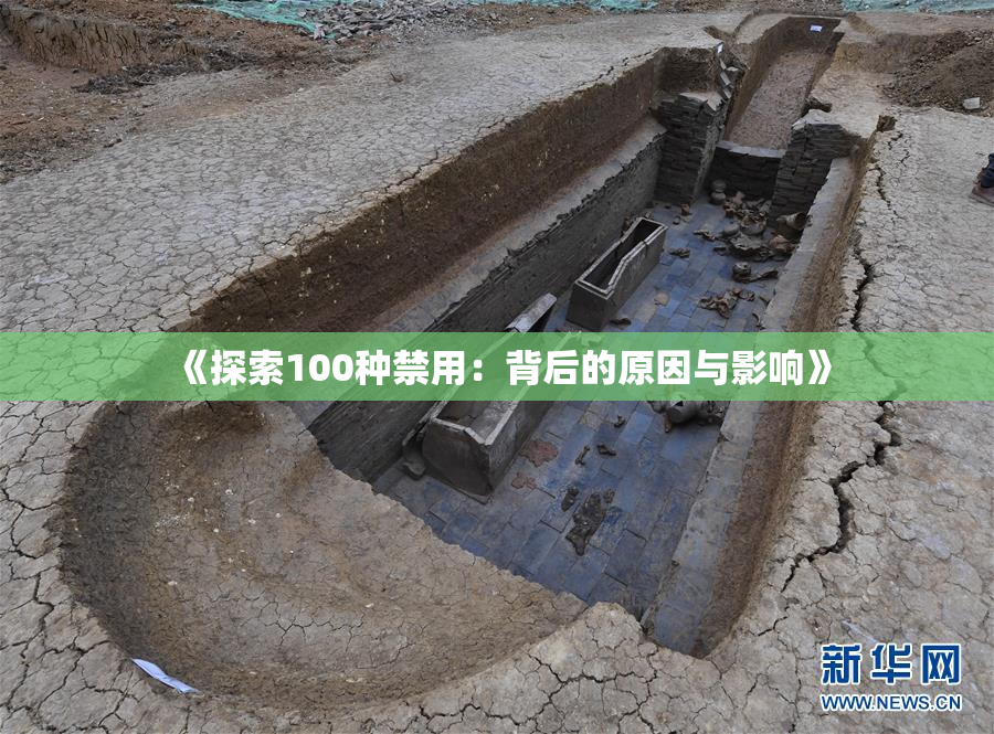 《探索100种禁用：背后的原因与影响》