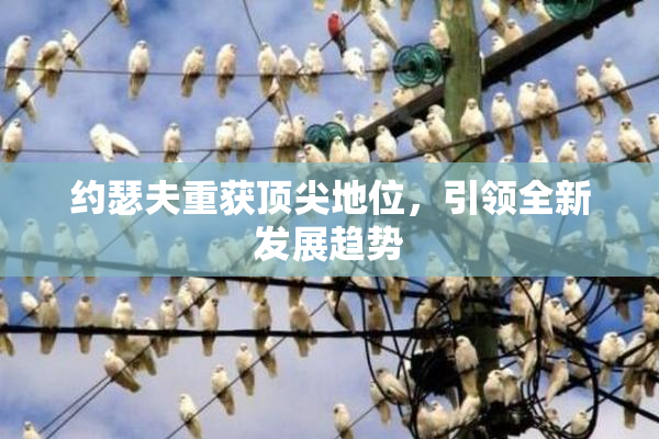 约瑟夫重获顶尖地位，引领全新发展趋势