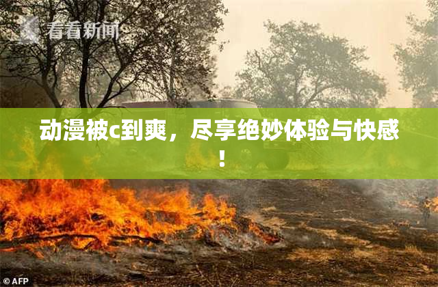 动漫被c到爽，尽享绝妙体验与快感！