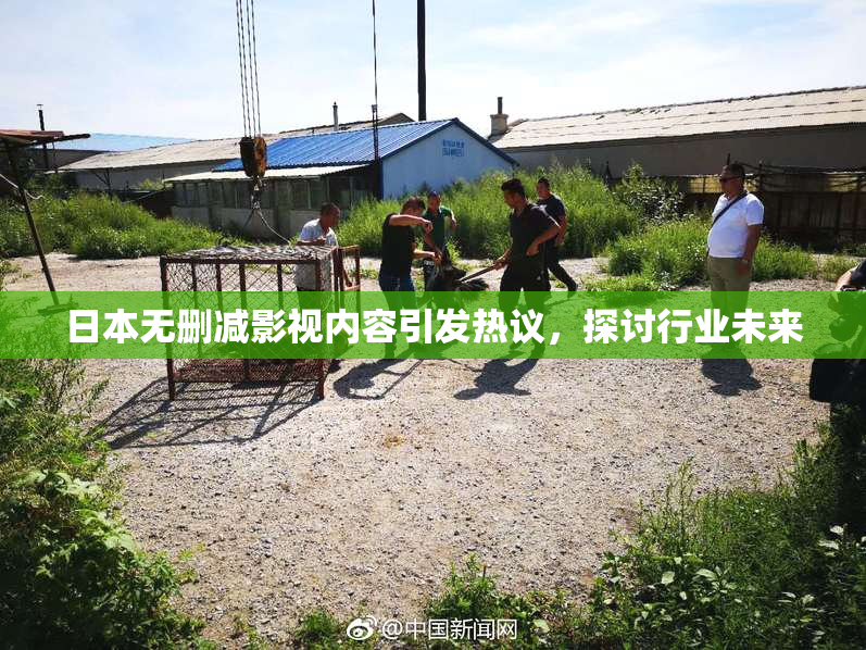 日本无删减影视内容引发热议，探讨行业未来