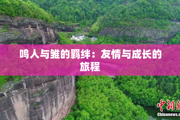 鸣人与雏的羁绊：友情与成长的旅程