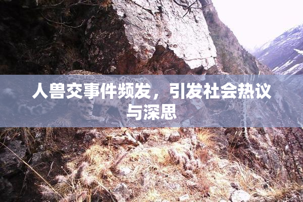 人兽交事件频发，引发社会热议与深思