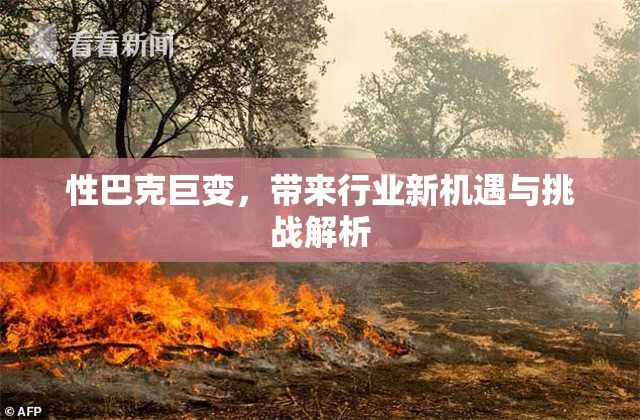 性巴克巨变，带来行业新机遇与挑战解析