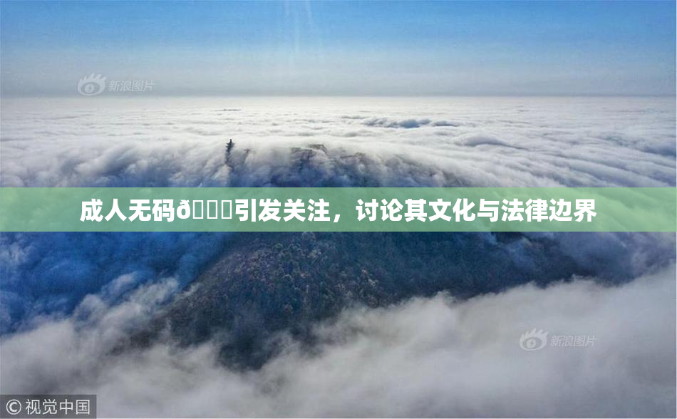 成人无码🔞引发关注，讨论其文化与法律边界