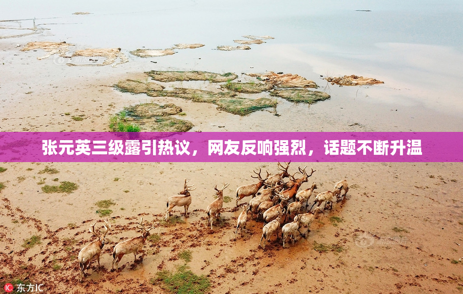 张元英三级露引热议，网友反响强烈，话题不断升温