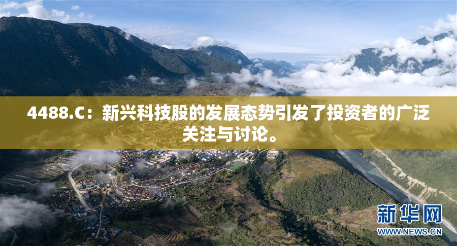 4488.C：新兴科技股的发展态势引发了投资者的广泛关注与讨论。