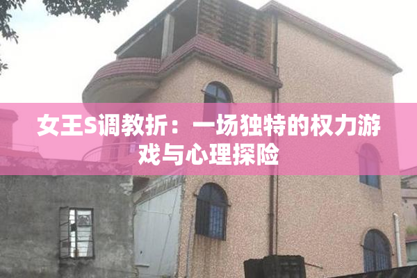 女王S调教折：一场独特的权力游戏与心理探险