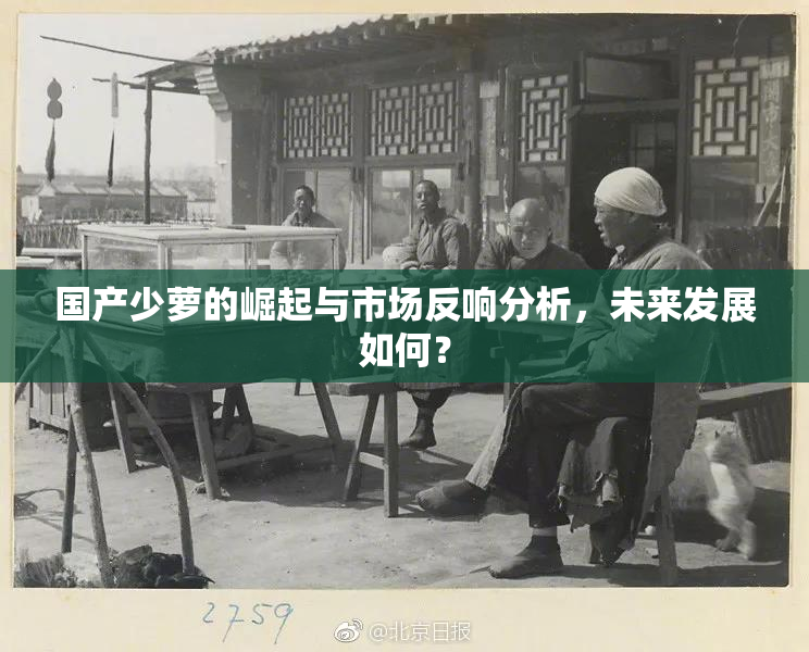 国产少萝的崛起与市场反响分析，未来发展如何？