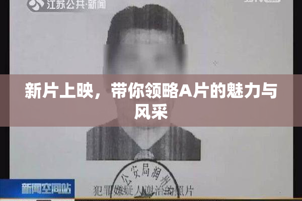 新片上映，带你领略A片的魅力与风采