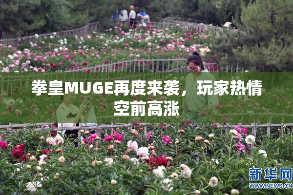 拳皇MUGE再度来袭，玩家热情空前高涨