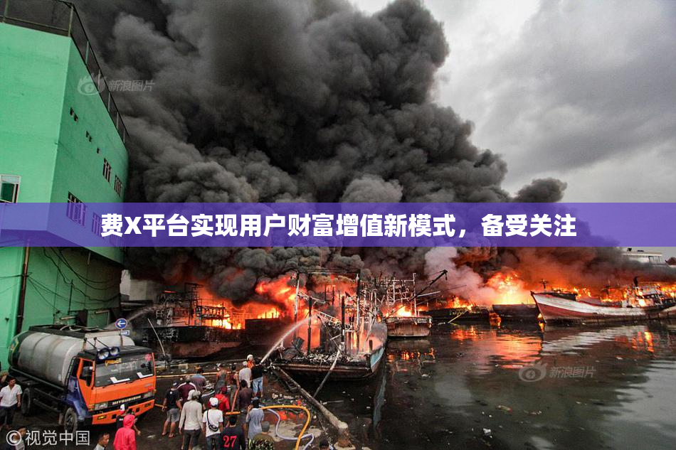 费X平台实现用户财富增值新模式，备受关注