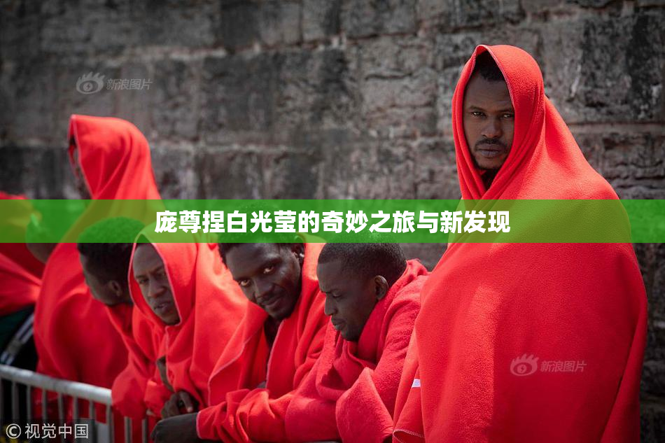庞尊捏白光莹的奇妙之旅与新发现