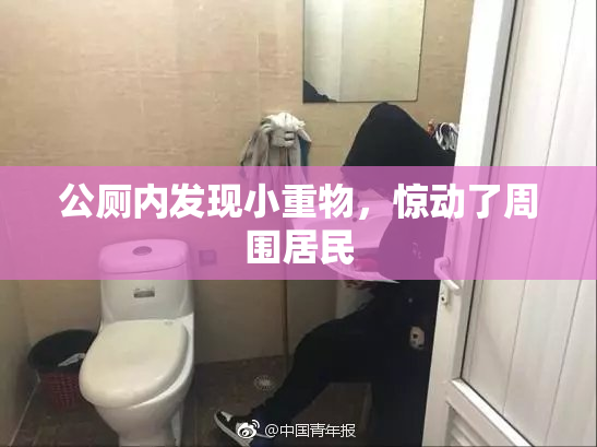 公厕内发现小重物，惊动了周围居民