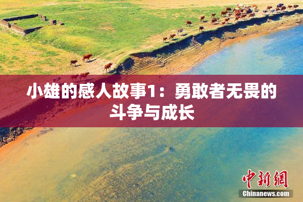 小雄的感人故事1：勇敢者无畏的斗争与成长