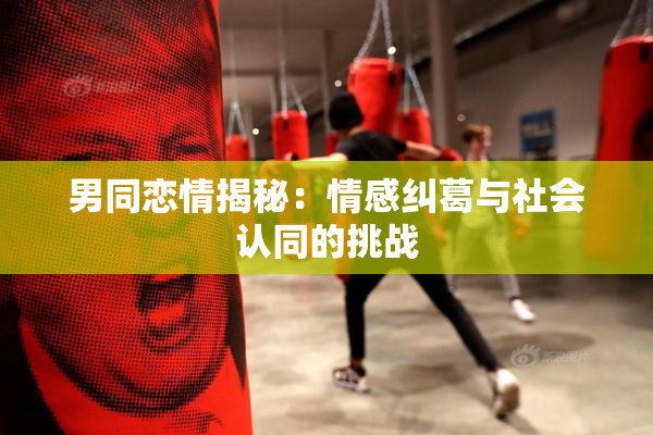 男同恋情揭秘：情感纠葛与社会认同的挑战