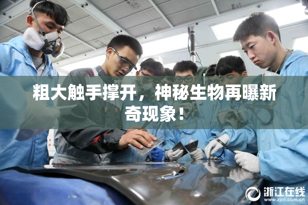 粗大触手撑开，神秘生物再曝新奇现象！