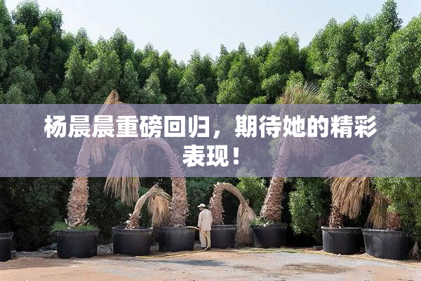 杨晨晨重磅回归，期待她的精彩表现！