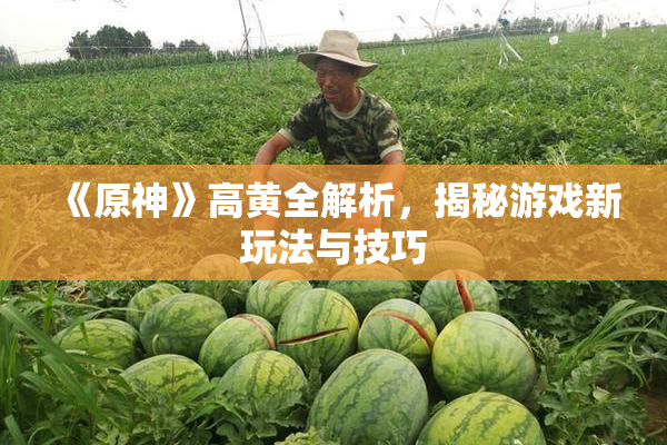 《原神》高黄全解析，揭秘游戏新玩法与技巧